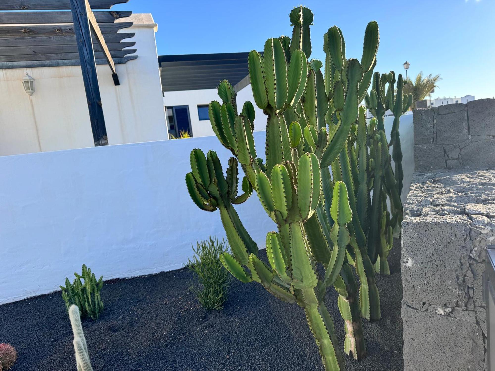 Casa Bidasoa 35 Holiday home Playa Blanca (Lanzarote)
